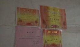 民生820新闻爆料,揭露背后真相，聚焦民生热点问题